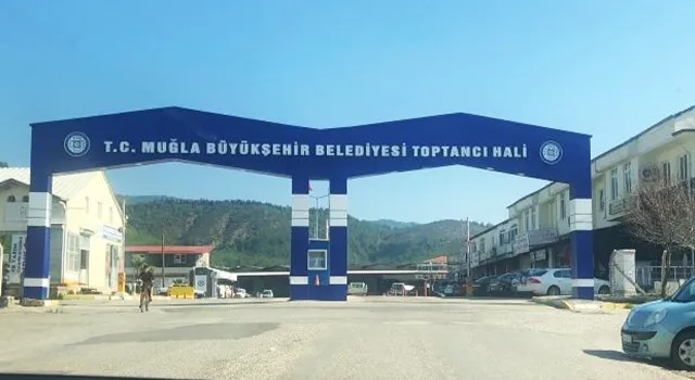 TÜRKHAL Başkanı Tavşan: Hallerdeki kayıt dışılık ve fiyatlardaki dengesizlikler sıkıntı yaratıyor