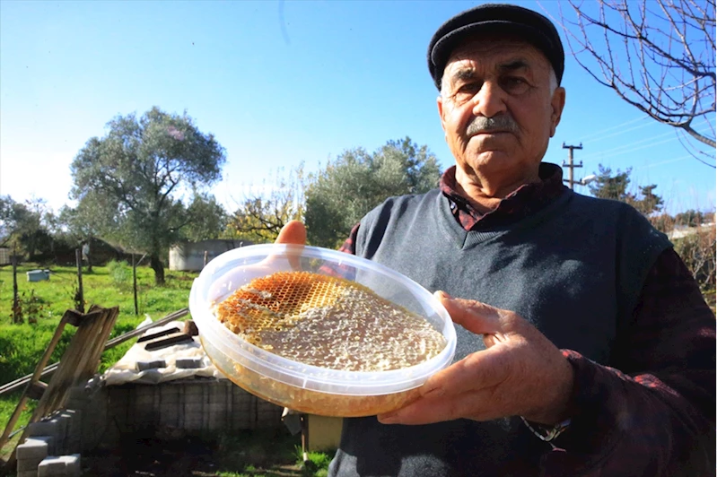 Muğlalı arıcı 60 yıldır en iyi balı üretmek için çalışıyor