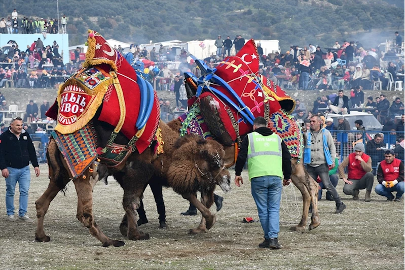 Aydın