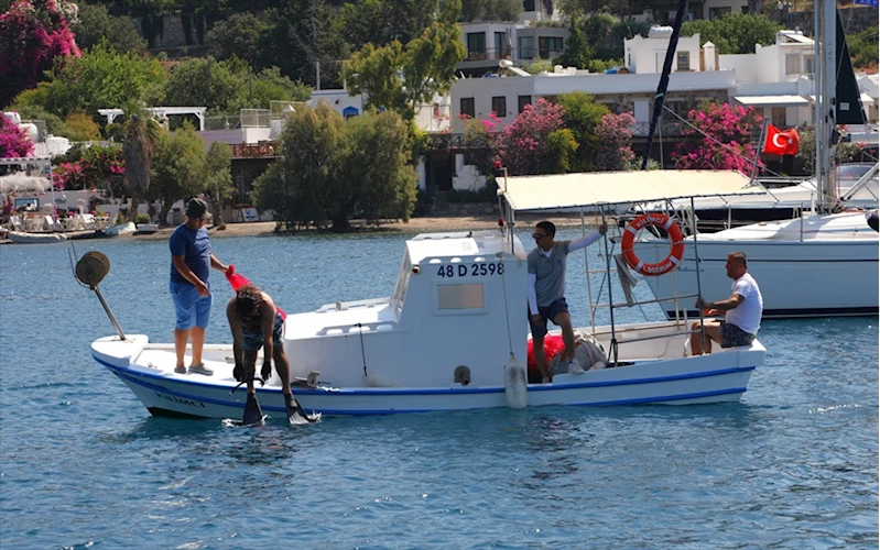 Bodrum