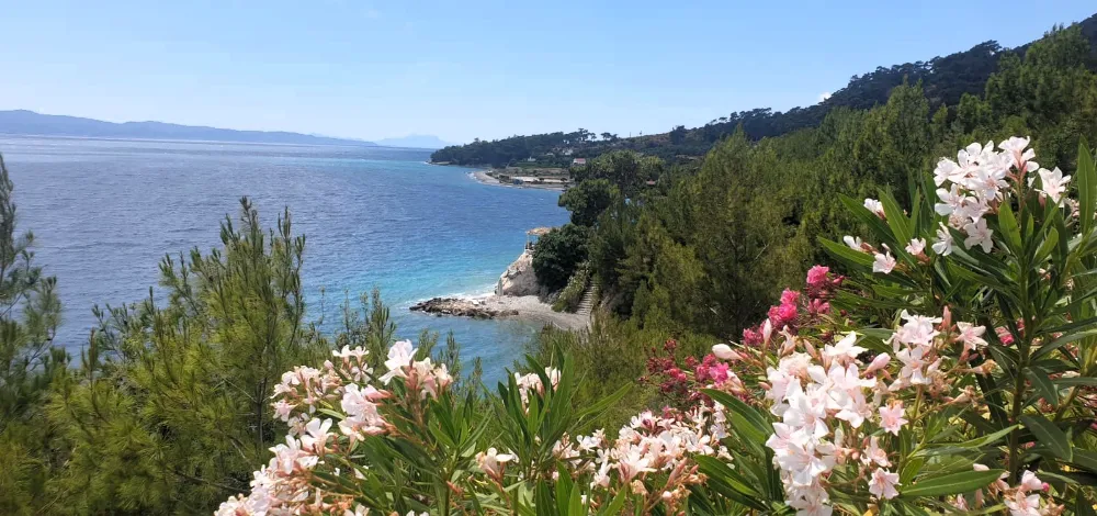 Yasaya Aykırı Kandil Orman Parkı İhalesi İptal Edilmeli 