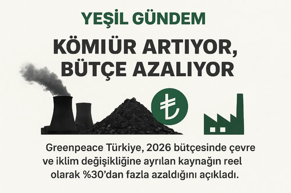 Yeşil Gündem: Kömür Artıyor, Bütçe Azalıyor