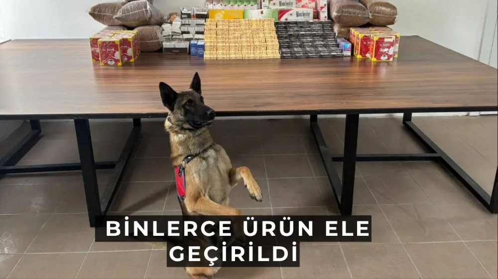 Afyonkarahisar’da Kaçak Tütün ve Sigara Operasyonu: Binlerce Ürün Ele Geçirildi