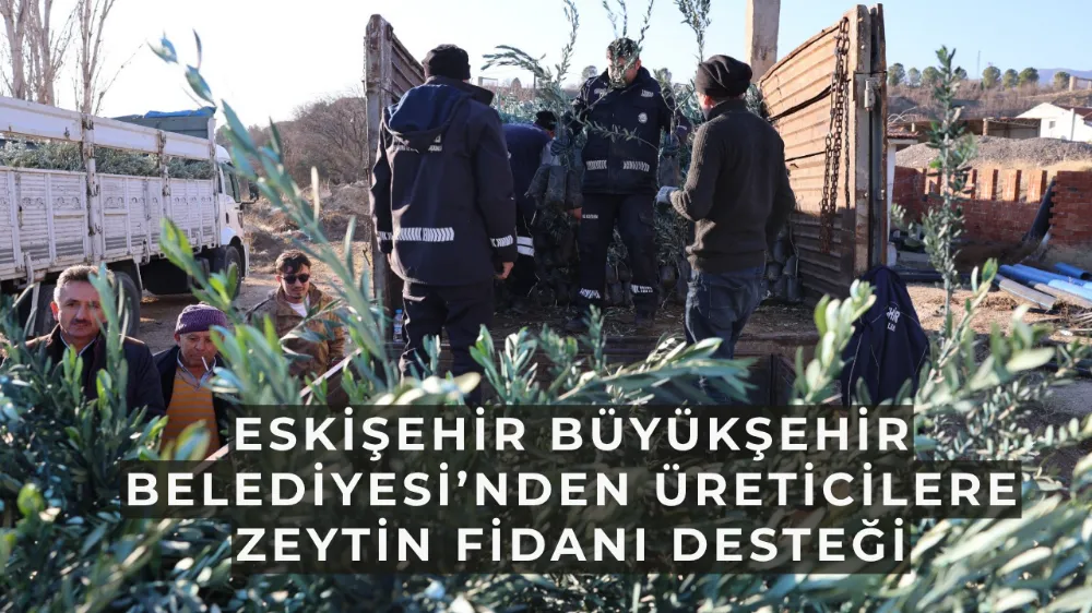 Eskişehir Büyükşehir Belediyesi’nden Üreticilere Zeytin Fidanı Desteği