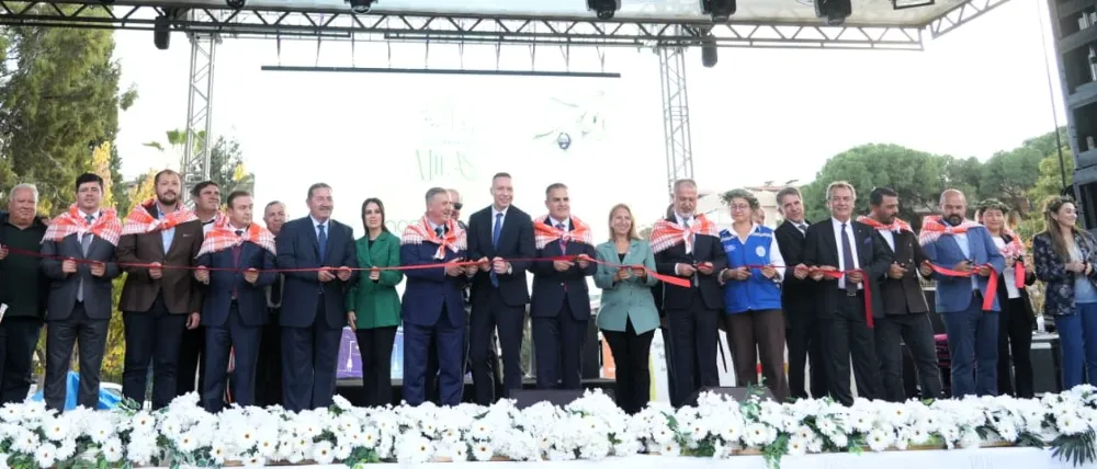 Milas’ta Zeytin Hasat Coşkusu 