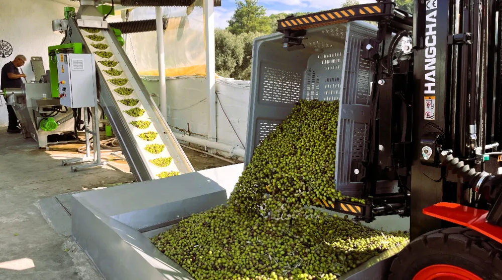 Milas’ta Bereketi ve Kadının Gücünü Buluşturan Şenlik