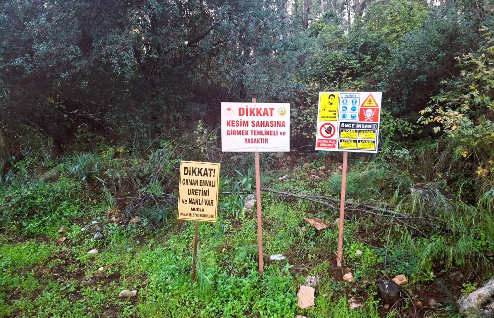 Ağaçlara kıymayın, başka Gökova yok