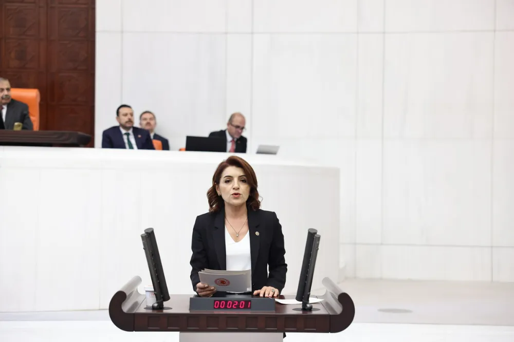 CHP Mersin Milletvekili Gülcan Kış: “Halk Yoksullaşıyor, Saray İzliyor!