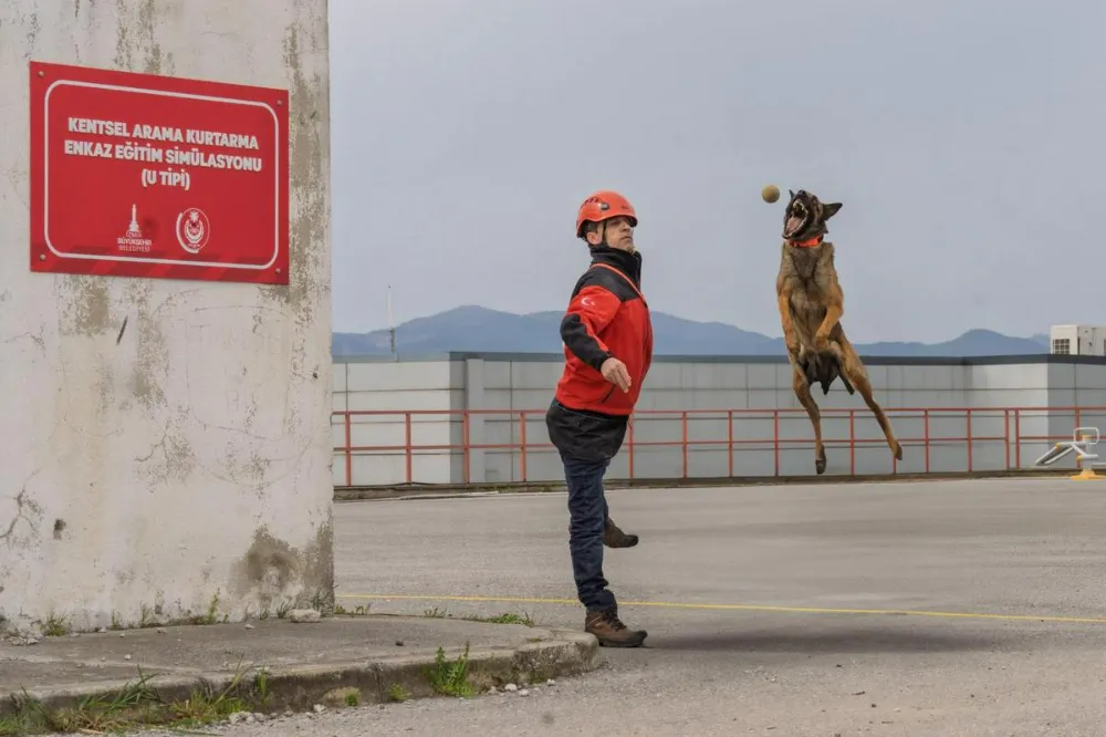   İzmir’in Mucize Yaratıcıları: Arama Kurtarma Köpekleri Hayat Kurtarıyor
