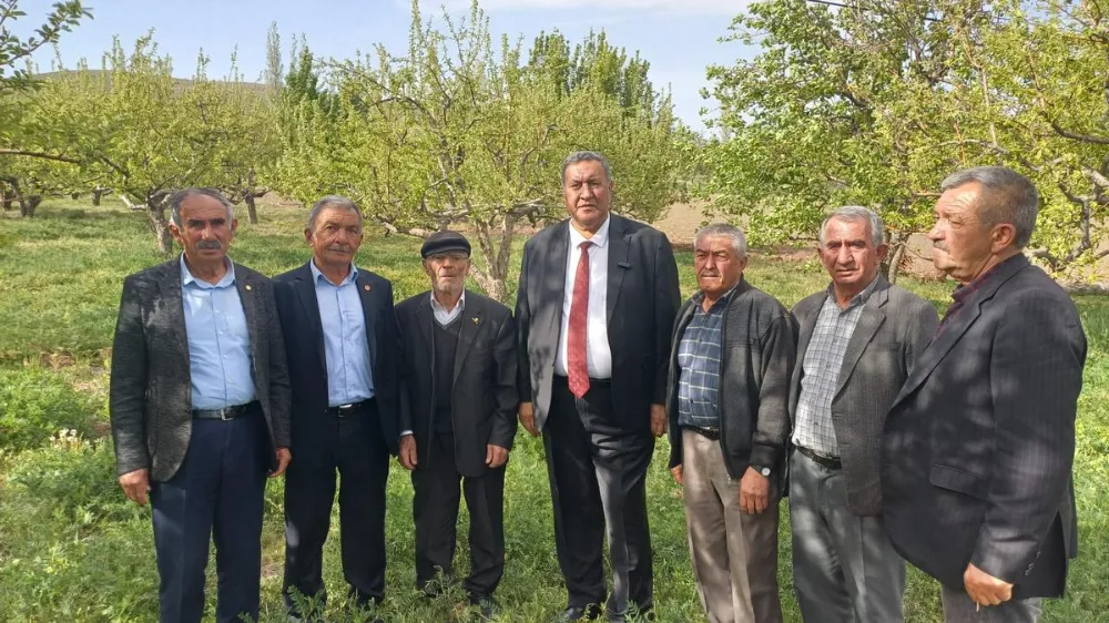  CHP