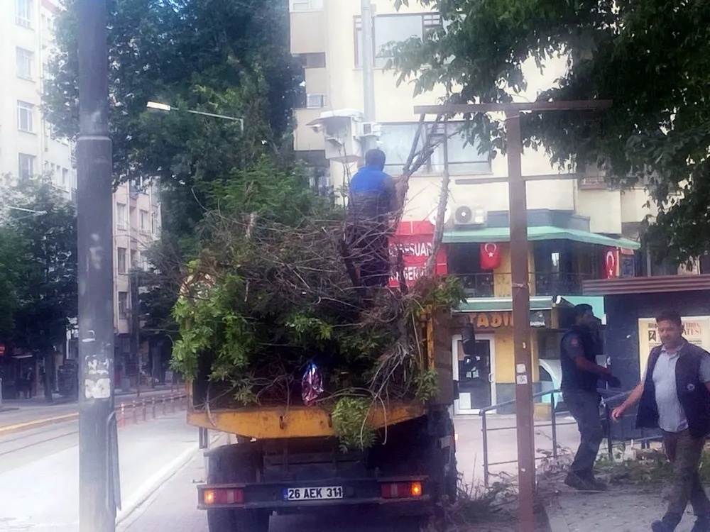   AK Parti’li Vural’dan Hamamyolu’nda Ağaç Kesimine Sert Tepki: 