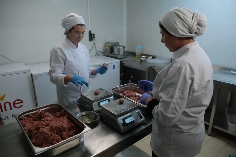 Bodrum’da Gıda Güvenliğinde Örnek Uygulama: Belediye Mutfağında HACCP Sistemi