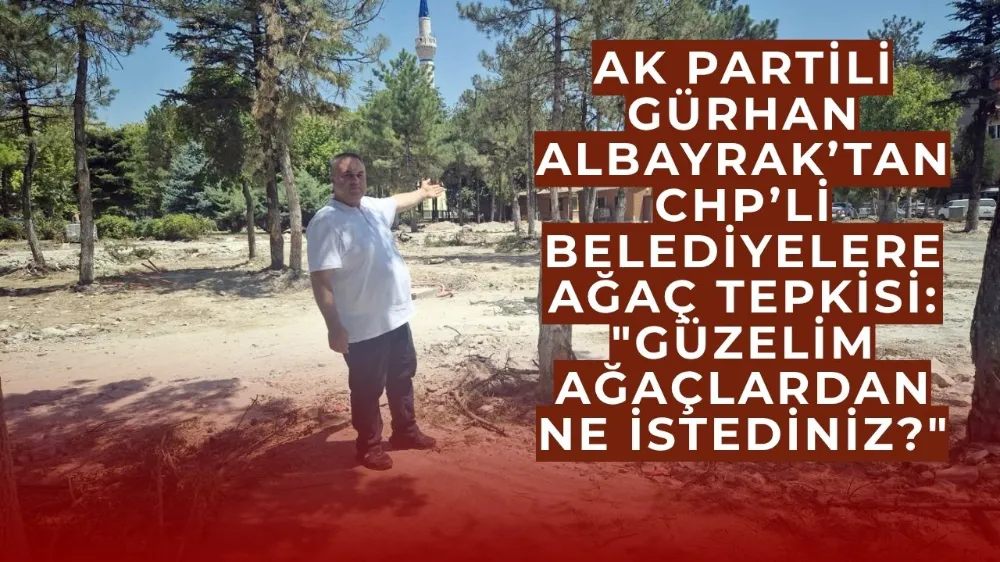 AK Partili Gürhan Albayrak’tan CHP’li Belediyelere Ağaç Tepkisi: 