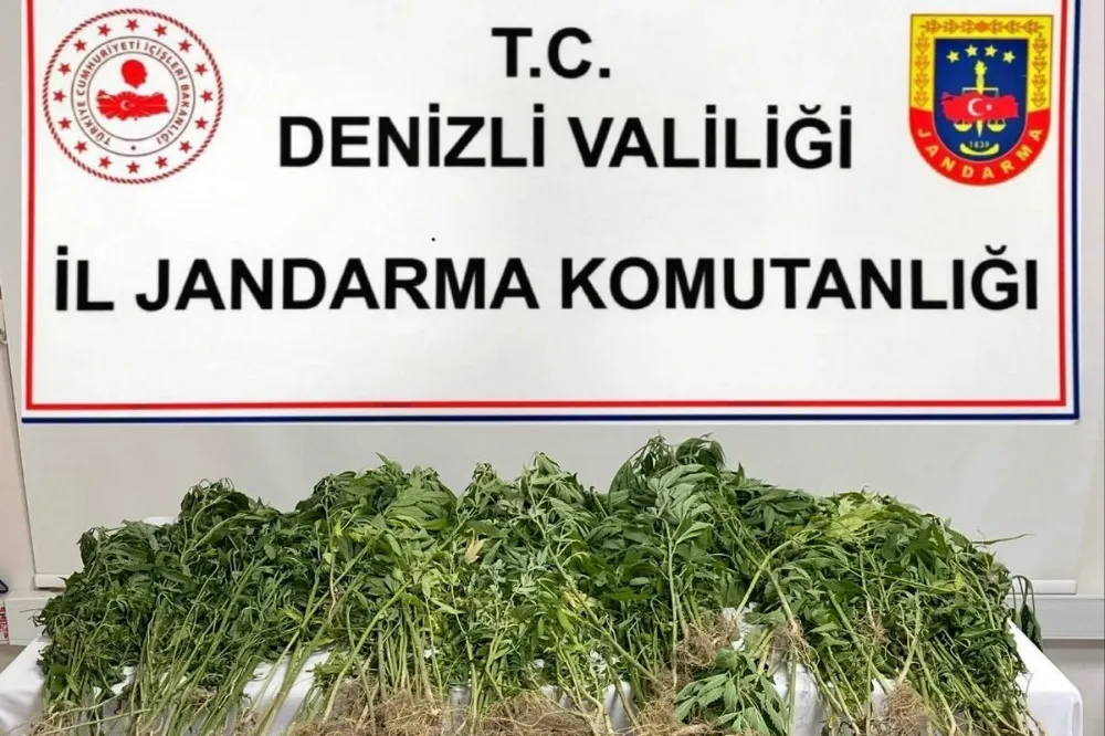 Denizli’de Uyuşturucu Operasyonu: 343 Kök Kenevir ve 102 Gram Esrar Ele Geçirildi