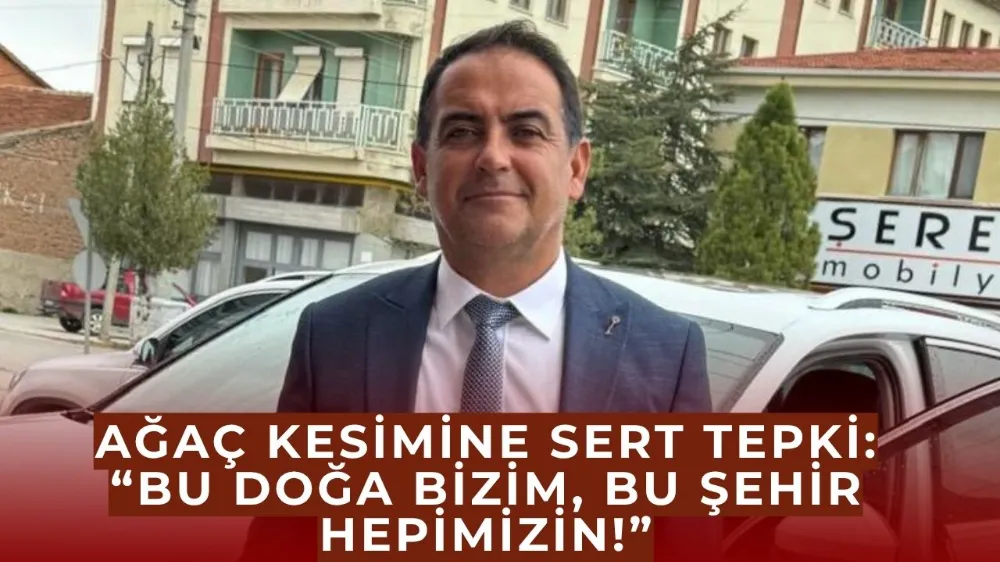 Fatih Yılmaz’dan Ağaç Kesimine Sert Tepki: “Bu Doğa Bizim, Bu Şehir Hepimizin!”