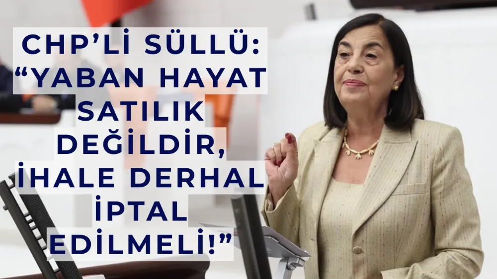 CHP’li Süllü’den Bakan Yumaklı’ya Çağrı: “Yaban Hayat Satılık Değildir, İhale Derhal İptal Edilmeli!”
