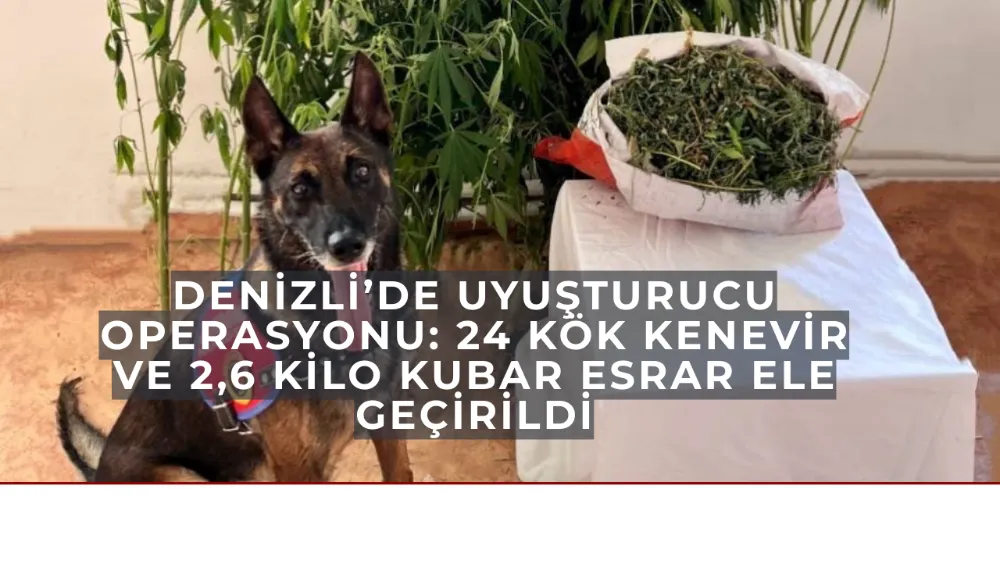 Denizli’de Uyuşturucu Operasyonu: 24 Kök Kenevir ve 2,6 Kilo Kubar Esrar Ele Geçirildi
