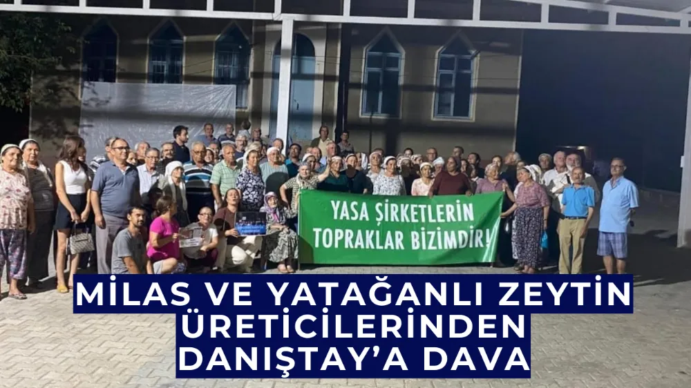 Milas ve Yatağanlı zeytin üreticilerinden Danıştay’a dava