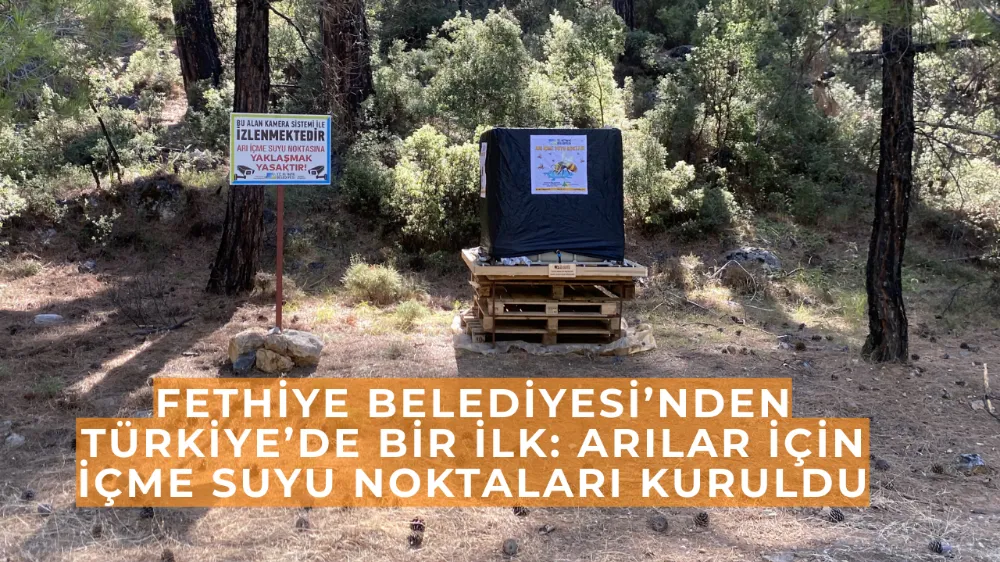 Fethiye Belediyesi’nden Türkiye’de Bir İlk: Arılar İçin İçme Suyu Noktaları Kuruldu