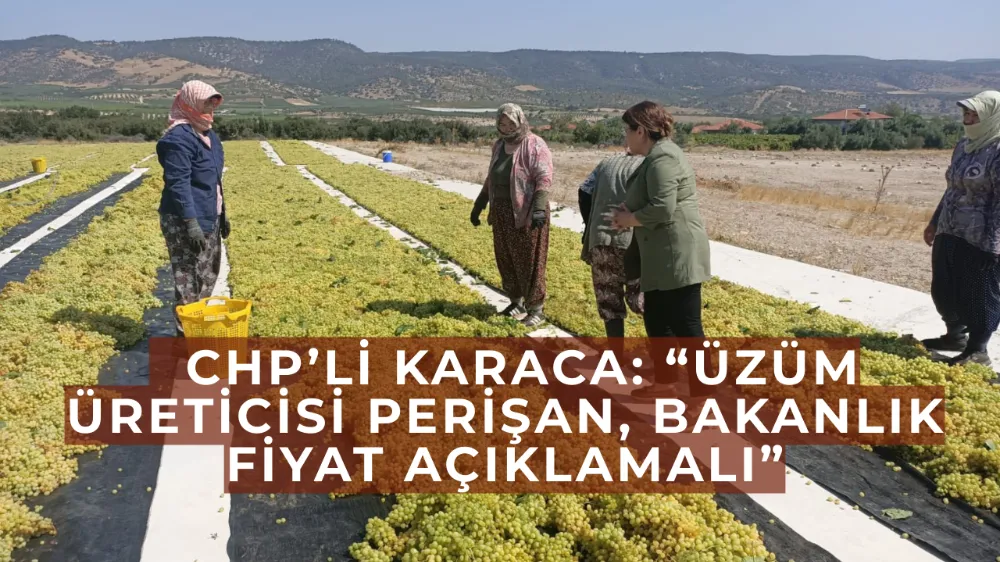   CHP’li Karaca: “Üzüm Üreticisi Perişan, Bakanlık Fiyat Açıklamalı”