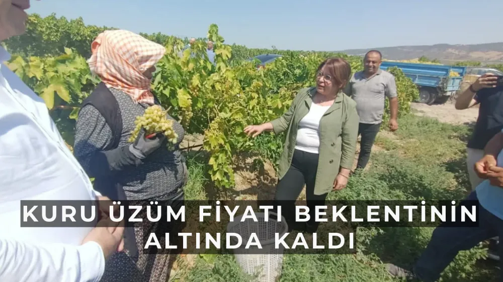 Kuru Üzüm Fiyatı Beklentinin Altında Kaldı: CHP’li Karaca’dan Tarım Bakanı’na Tepki