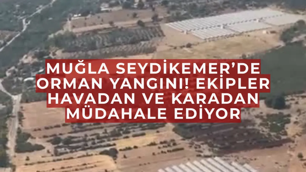 Muğla Seydikemer’de Orman Yangını! Ekipler Havadan ve Karadan Müdahale Ediyor