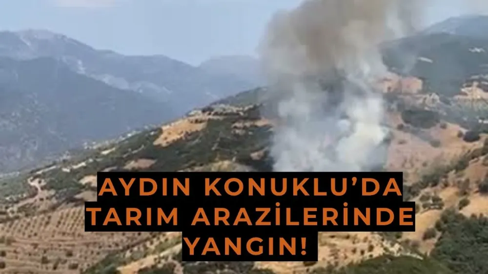Aydın Konuklu’da Tarım Arazilerinde Yangın! Müdahale Havadan ve Karadan Sürüyor