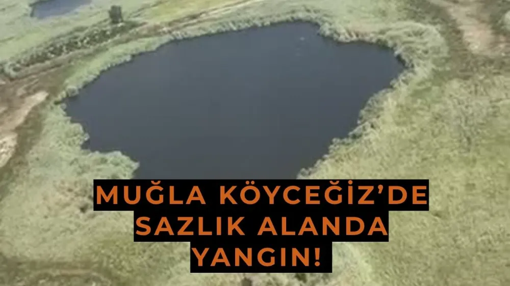 Muğla Köyceğiz’de Sazlık Alanda Yangın! Müdahale Havadan ve Karadan Sürüyor
