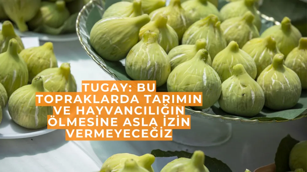 Tugay: Bu topraklarda tarımın ve hayvancılığın ölmesine asla izin vermeyeceğiz