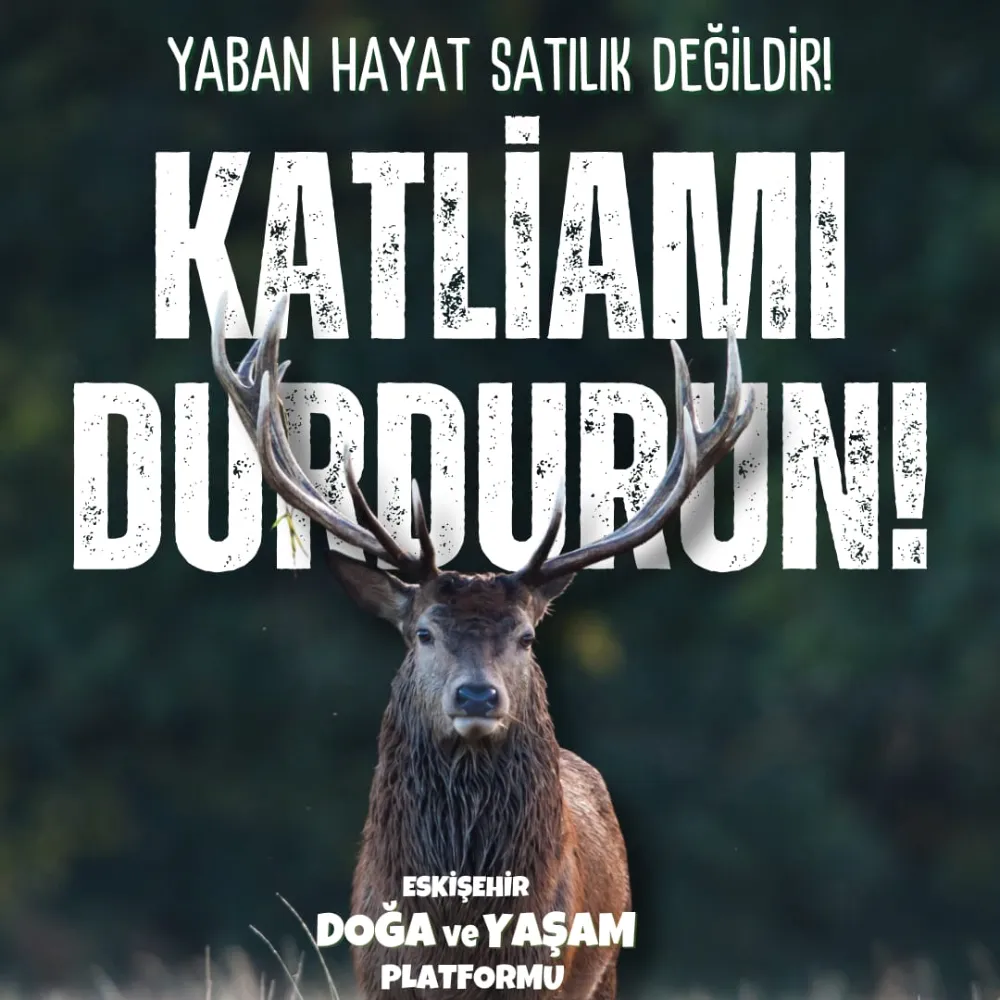 Eskişehir ve Kütahya’da Yaban Hayat İhalesine Tepki: “Yaban Hayat Satılık Değildir!”