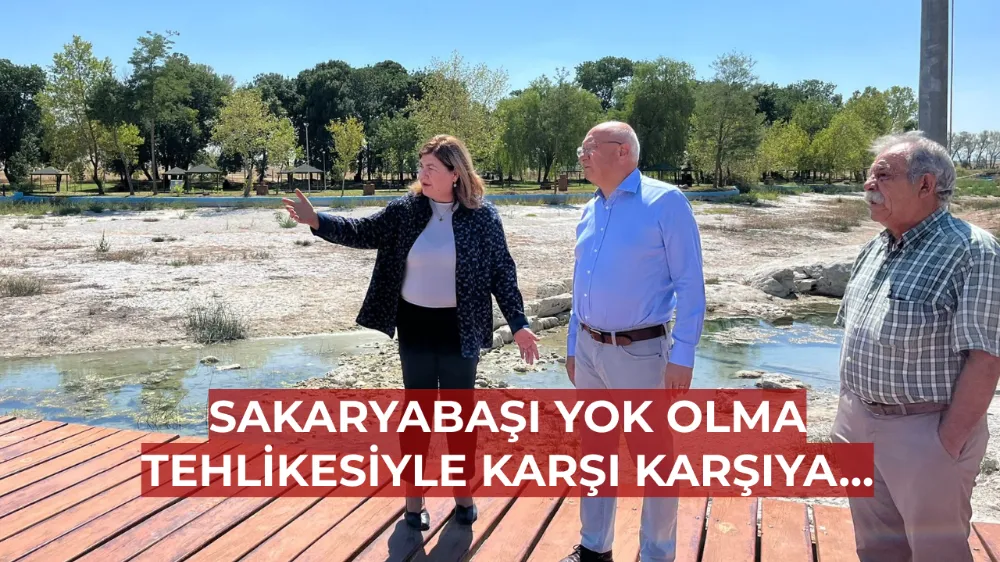 Sakaryabaşı yok olma tehlikesiyle karşı karşıya…