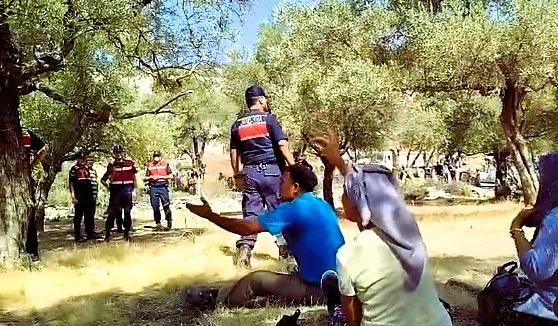 Akbelen’de zeytinlikler yeniden ablukada, gözaltılar başladı