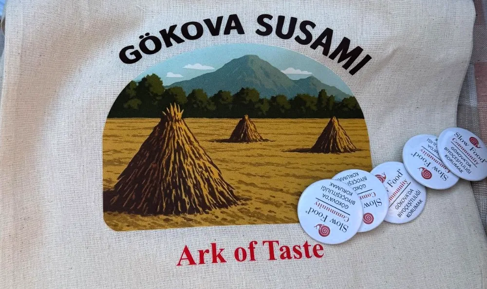 Gökova Susamı Dünyaya Aroma Taşıyor