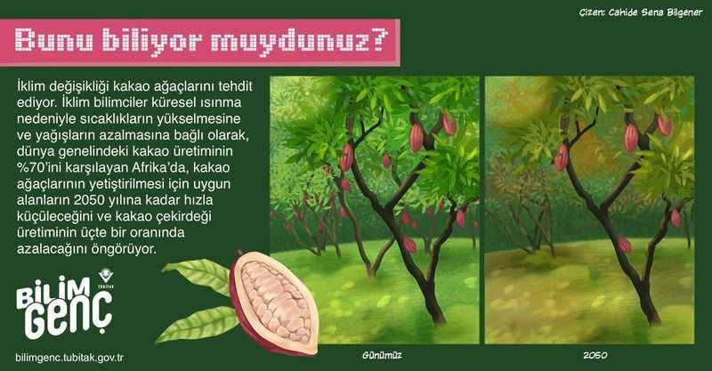 Bunları biliyor musunuz? (2)