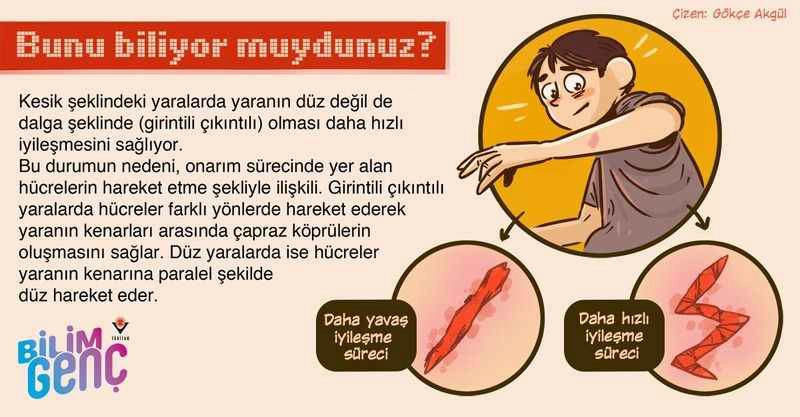 Bunları biliyor musunuz? (2)