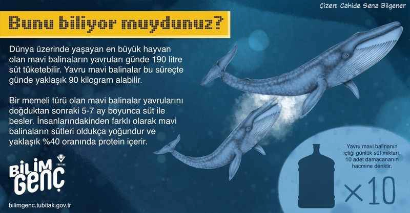 Bunları biliyor musunuz? (2)