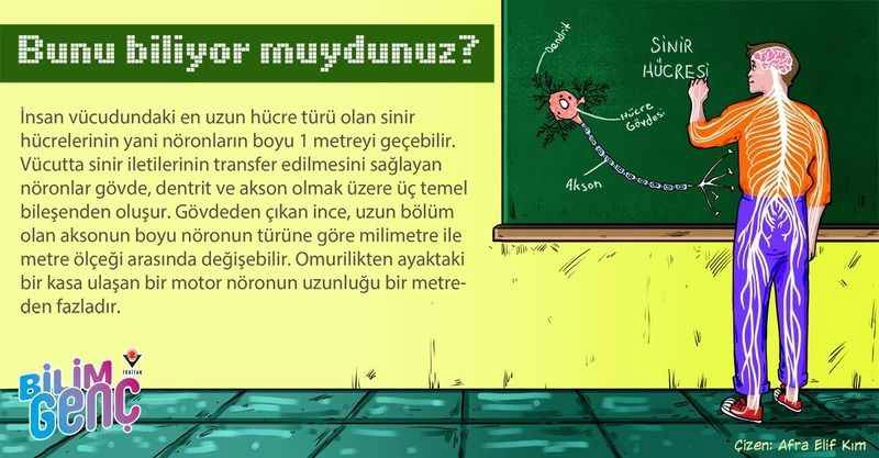 Bunları biliyor musunuz? (2)