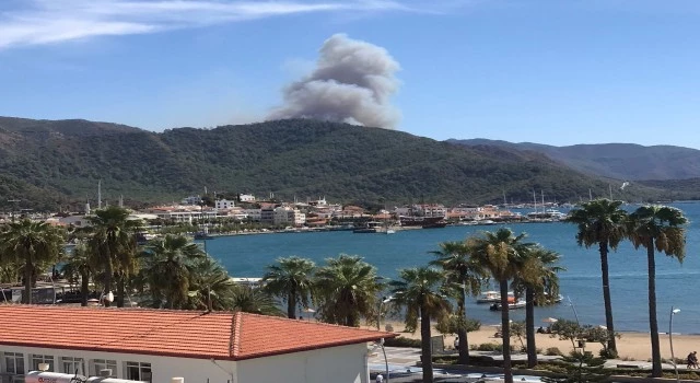 Marmaris’te orman yangını
