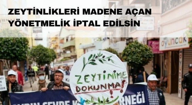 Zeytinlikleri yok edecek yönetmelik değişikliği iptal edilmeli