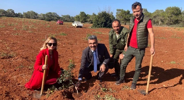 Çeşme Damla Sakızı’nın Çeşme’den Kıbrıs’a yolculuğu
