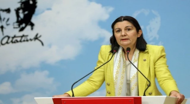 CHP Gençlerin Sorunlarının Araştırılmasını İstedi!