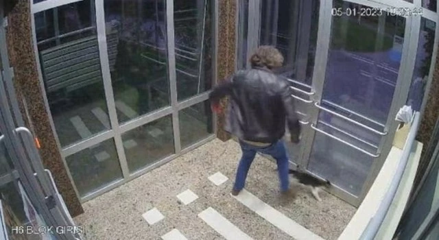 Kedilere tekme atan şahıs gözaltına alındı