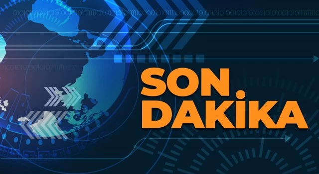 Arama kurtarma köpekleri 230 can kurtardı