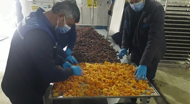 Muğla’dan deprem bölgesine tarımsal destek