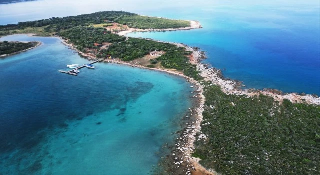 Sedir Adası
