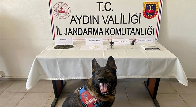 Aydın