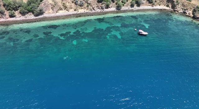 Akdeniz