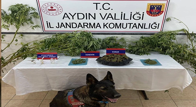 Aydın