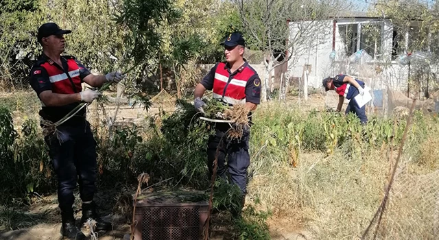 Datça